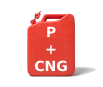 Petrol + Cng